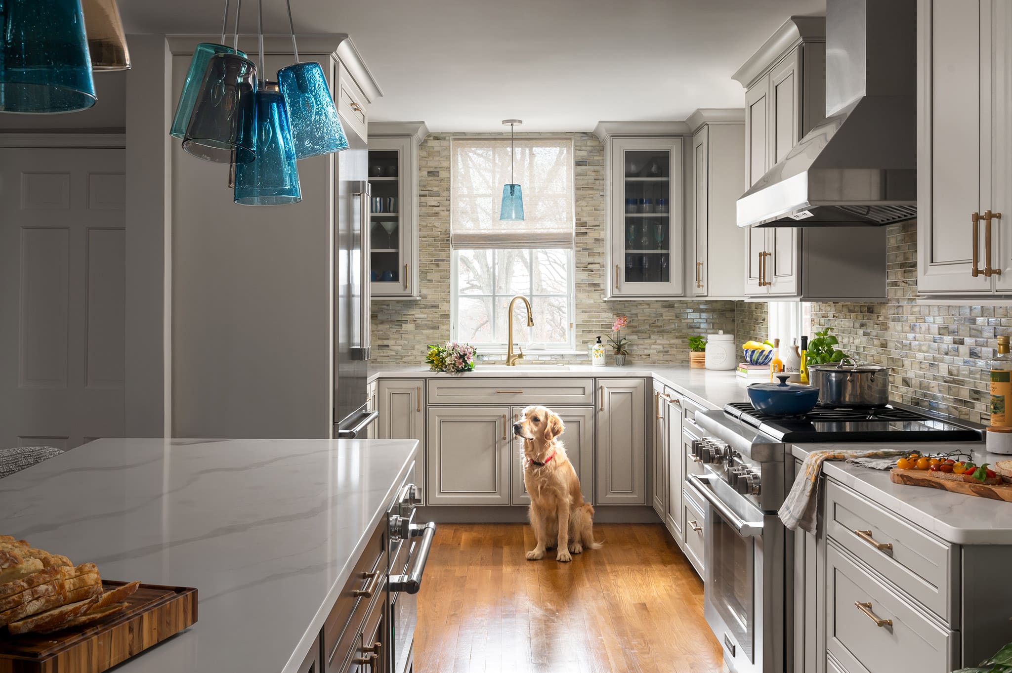 Modern kitchen with dog sitting by updated sink and window.
